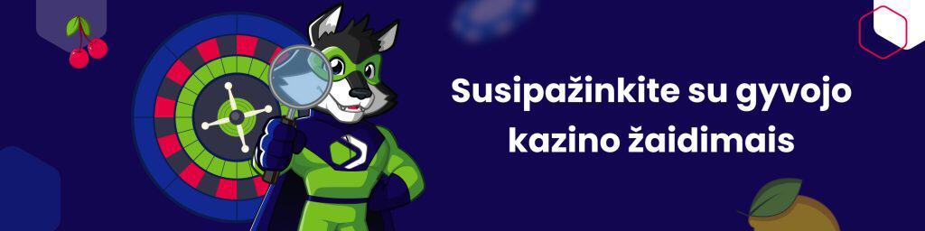 Susipažinkite su gyvojo kazino žaidimais